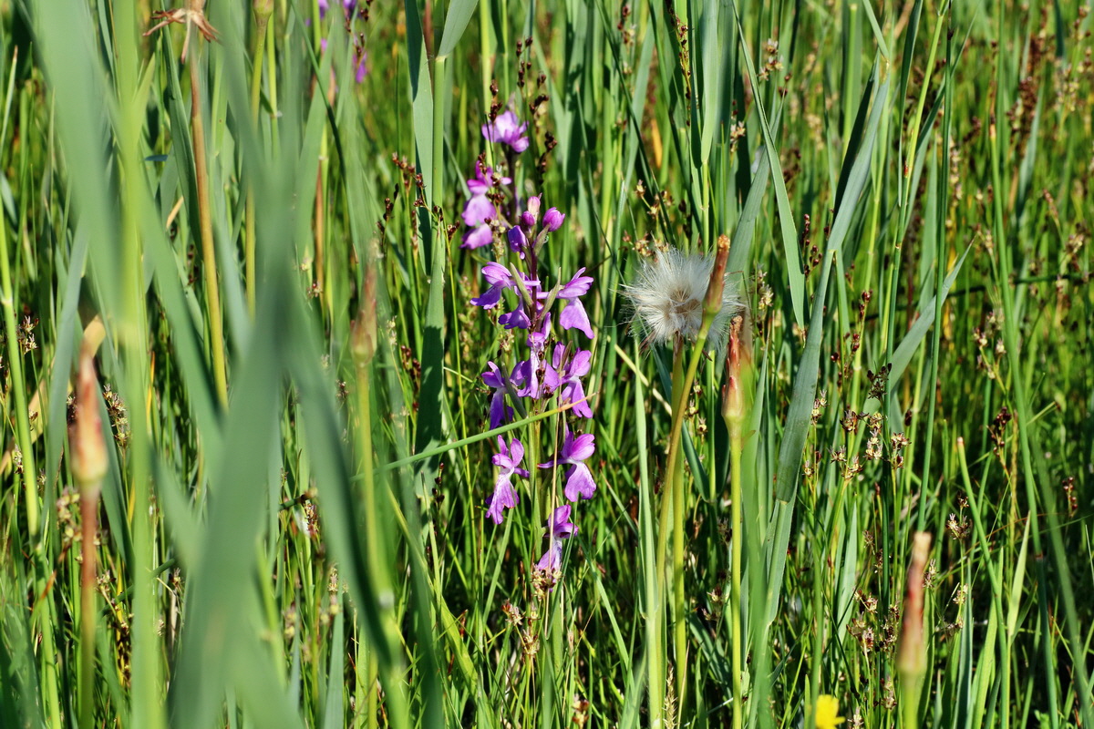 IMG-2016-06-06-00018386p_Bildgr��e �ndern