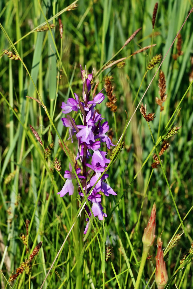 IMG-2016-06-06-00018393p_Bildgr��e �ndern