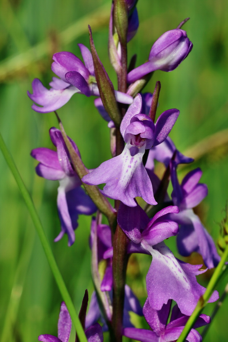 IMG-2016-06-06-00018401p_Bildgr��e �ndern