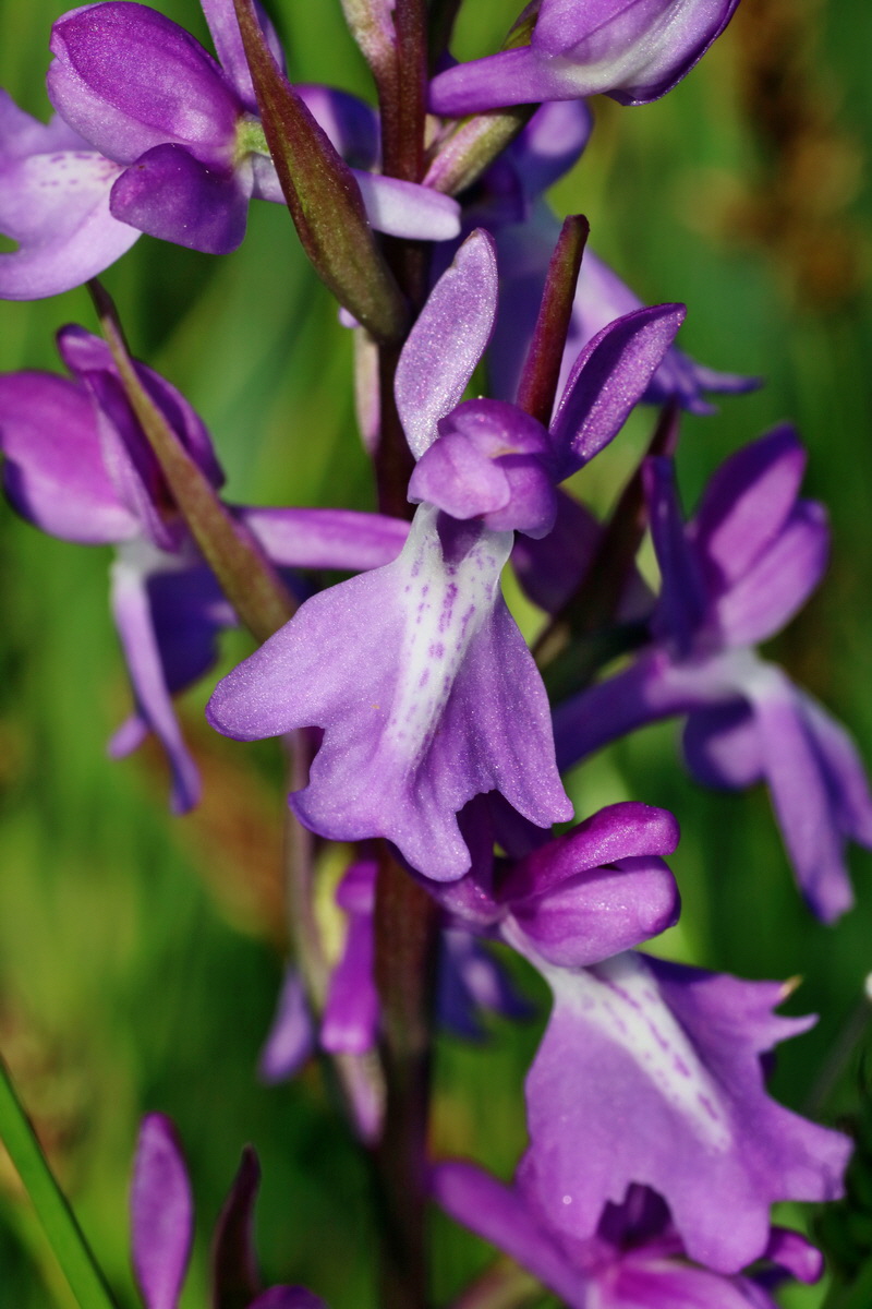 IMG-2016-06-06-00018403p_Bildgr��e �ndern