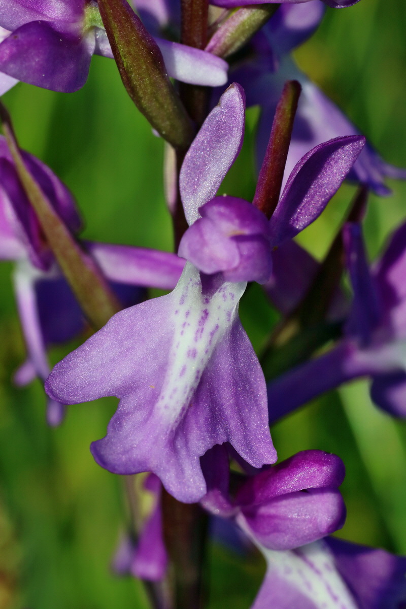 IMG-2016-06-06-00018408p_Bildgr��e �ndern