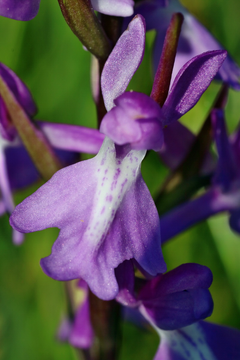 IMG-2016-06-06-00018410p_Bildgr��e �ndern