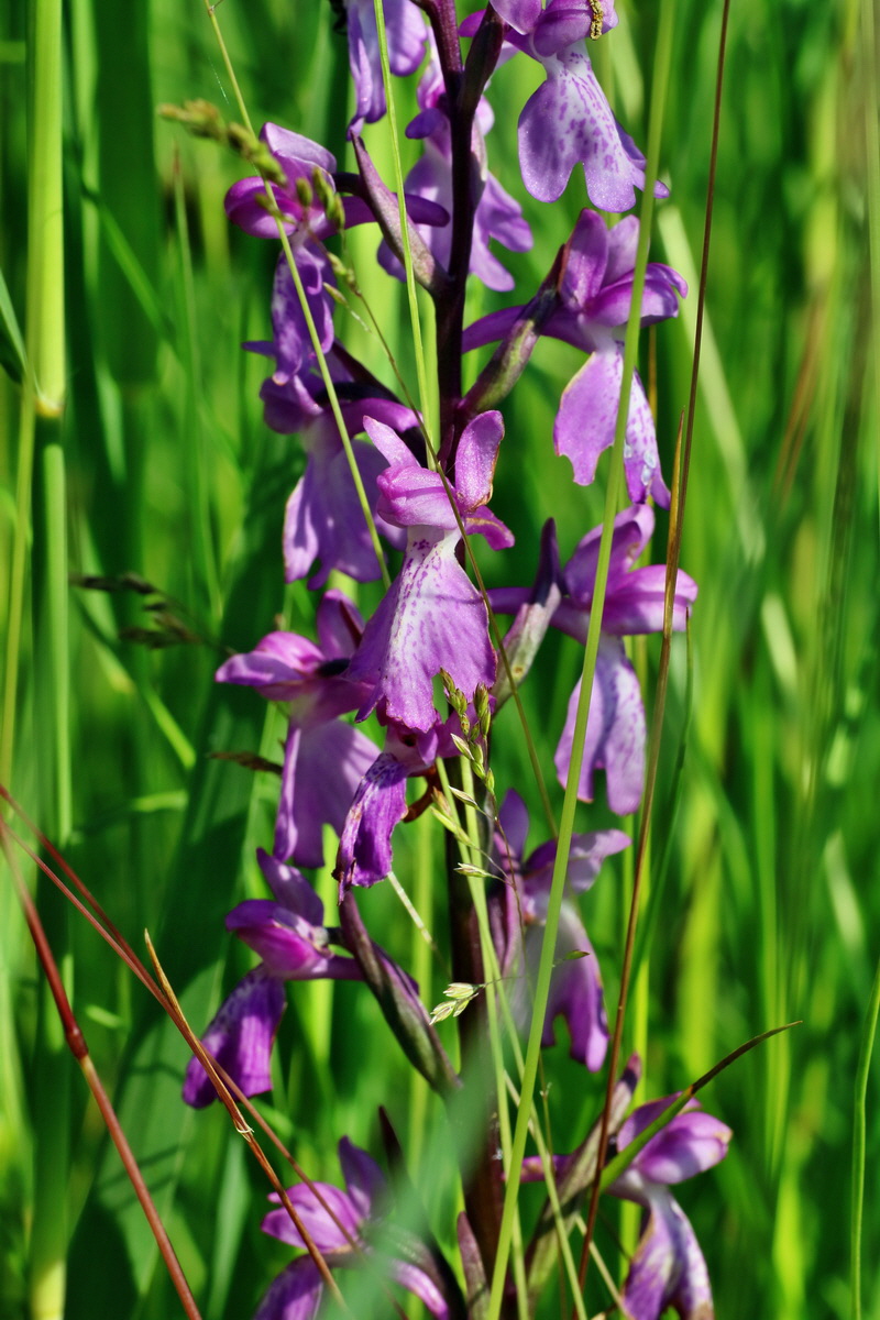 IMG-2016-06-06-00018421p_Bildgr��e �ndern