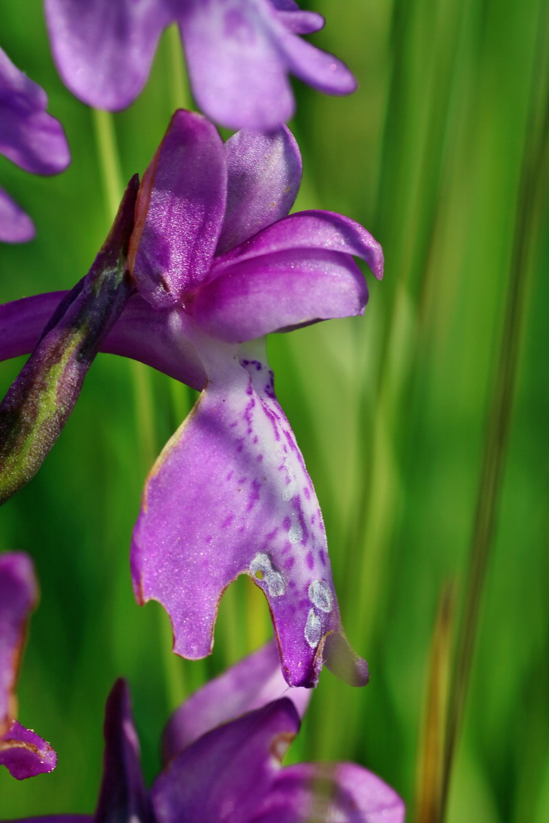 IMG-2016-06-06-00018428p_Bildgr��e �ndern