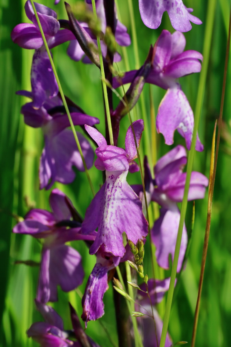 IMG-2016-06-06-00018430p_Bildgr��e �ndern