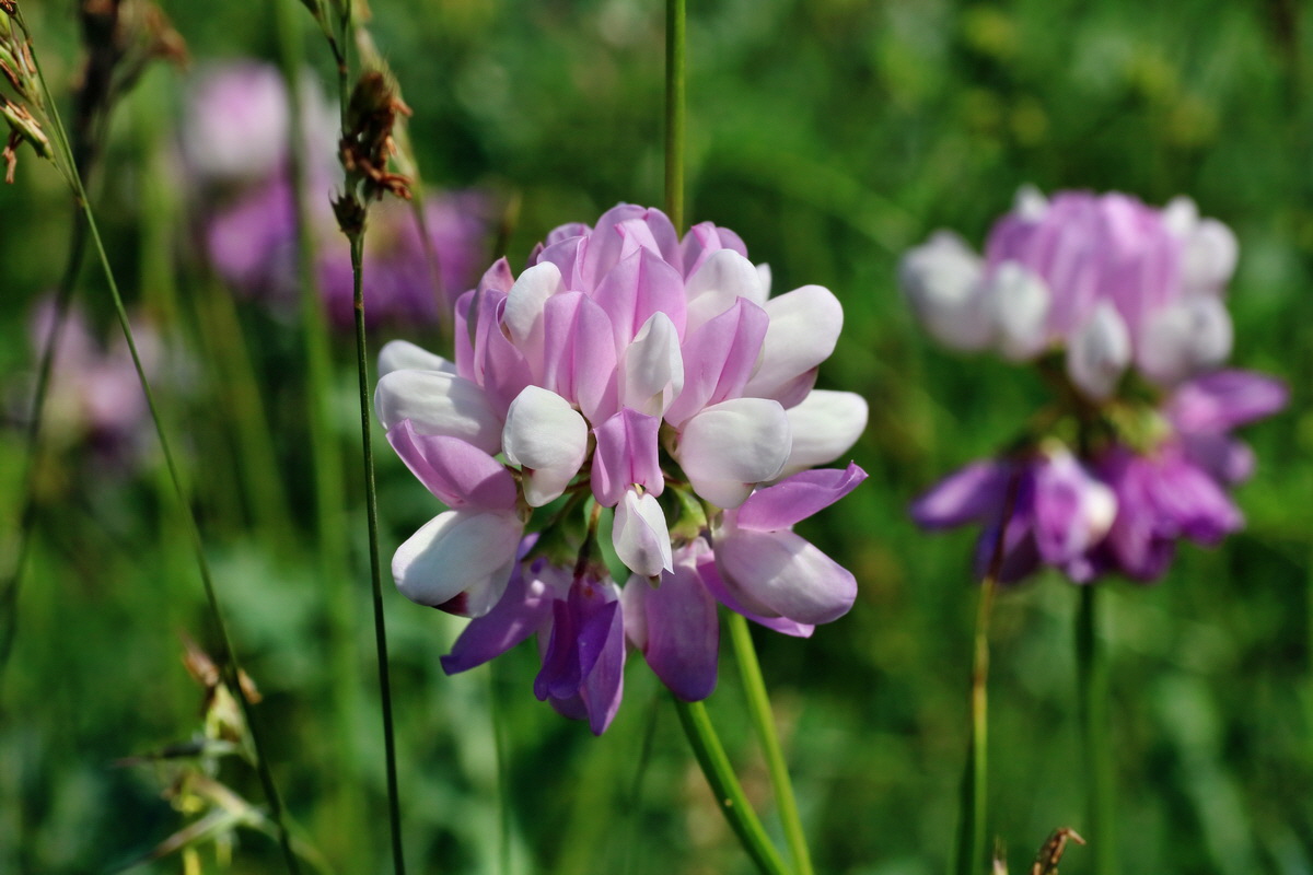 IMG-2016-06-06-00018436p_Bildgr��e �ndern