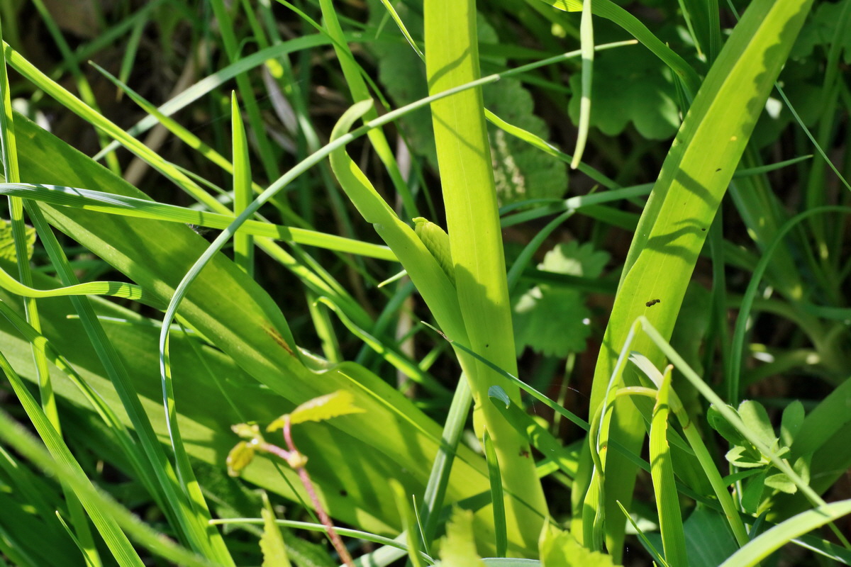 IMG-2016-06-06-00018454p_Bildgr��e �ndern