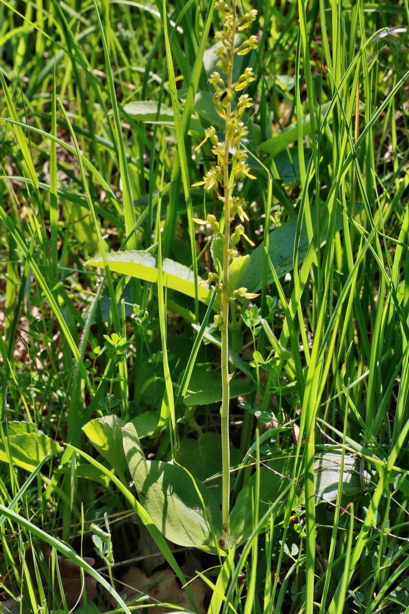 IMG-2016-06-06-00018468p_Bildgr��e �ndern