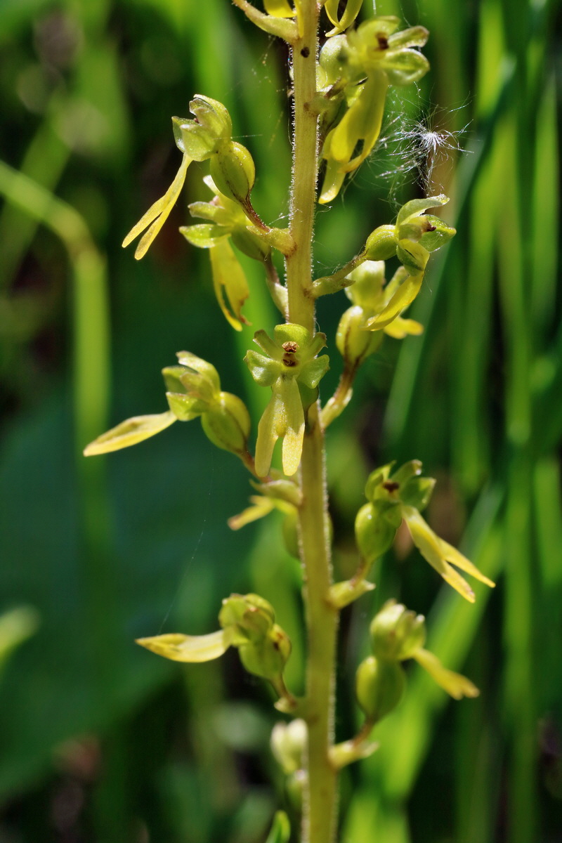 IMG-2016-06-06-00018472p_Bildgr��e �ndern