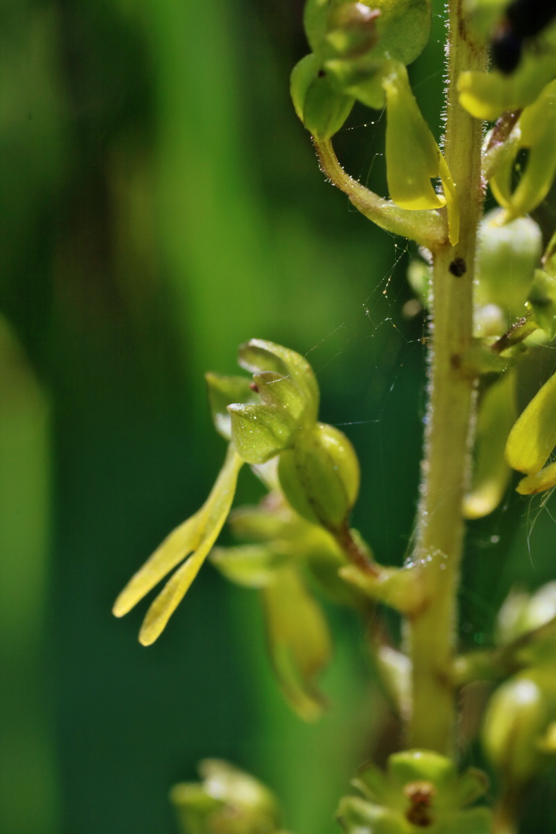 IMG-2016-06-06-00018473p_Bildgr��e �ndern