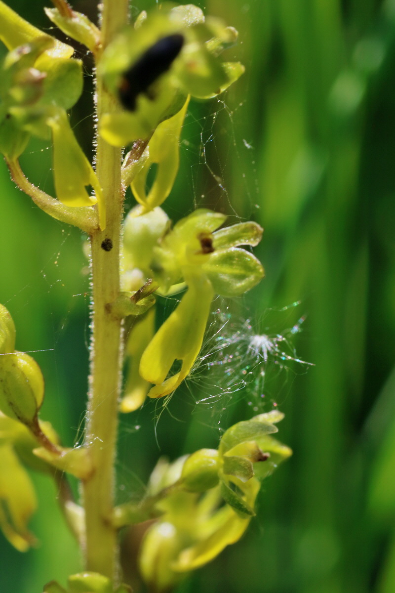 IMG-2016-06-06-00018475p_Bildgr��e �ndern