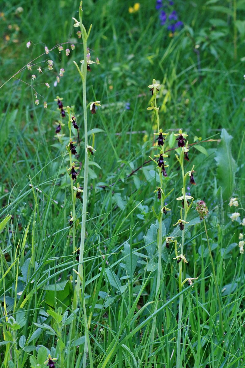 IMG-2016-06-06-00018505p_Bildgr��e �ndern