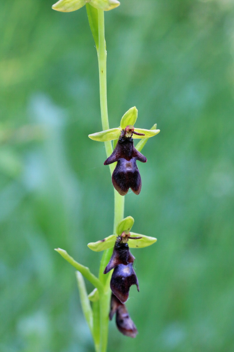 IMG-2016-06-06-00018510p_Bildgr��e �ndern