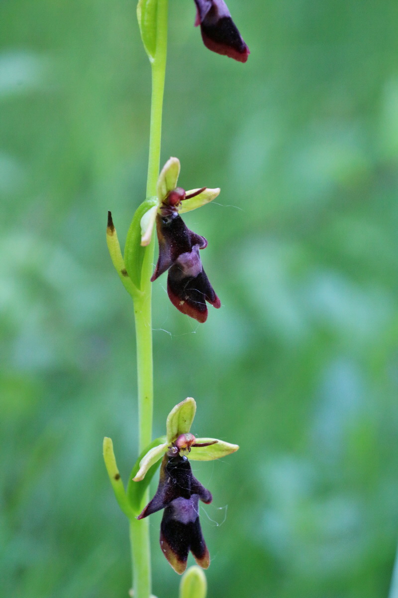 IMG-2016-06-06-00018512p_Bildgr��e �ndern