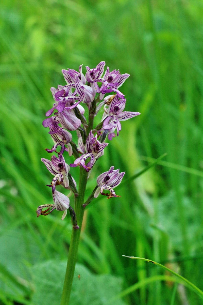 IMG-2016-06-06-00018515p_Bildgr��e �ndern