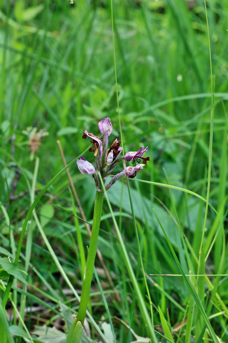 IMG-2016-06-06-00018518p_Bildgr��e �ndern