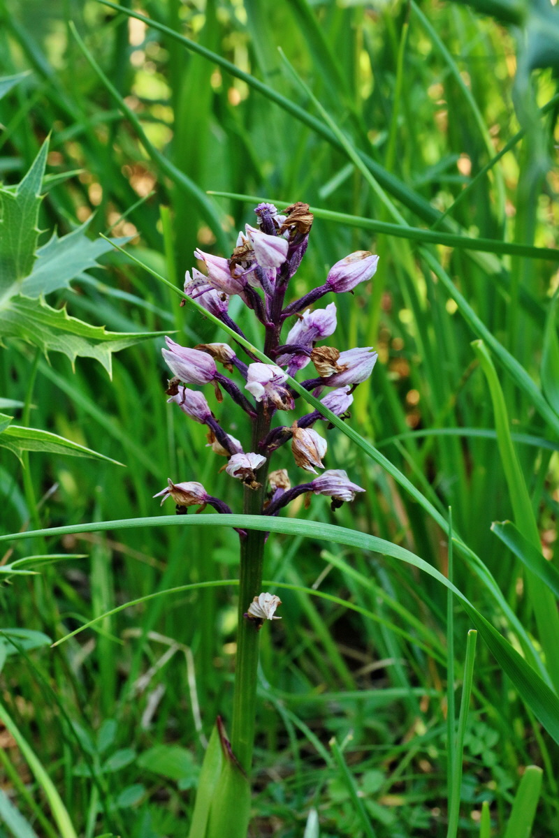 IMG-2016-06-06-00018519p_Bildgr��e �ndern