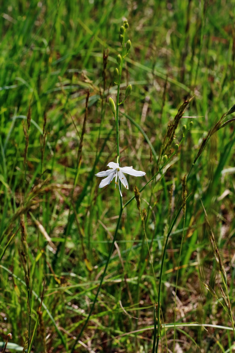 IMG-2016-06-06-00018521p_Bildgr��e �ndern