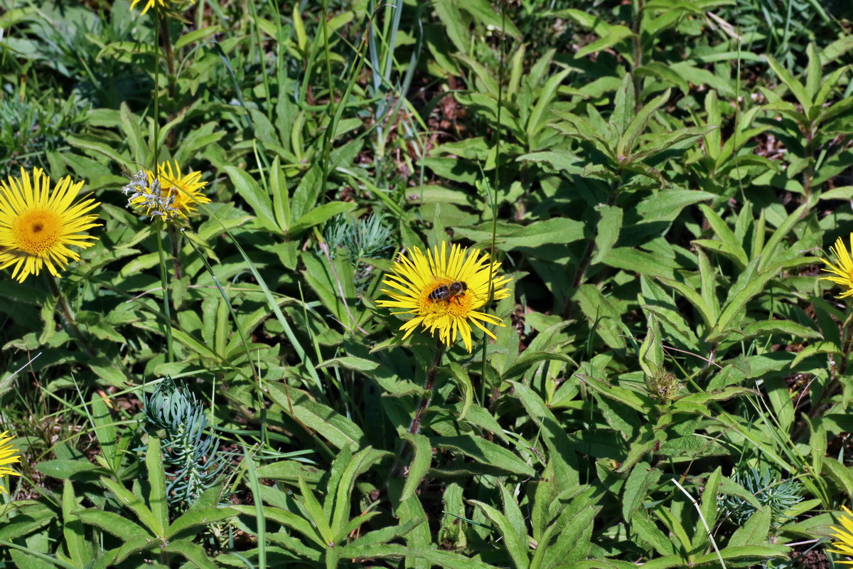 IMG-2016-06-06-00018525p_Bildgr��e �ndern