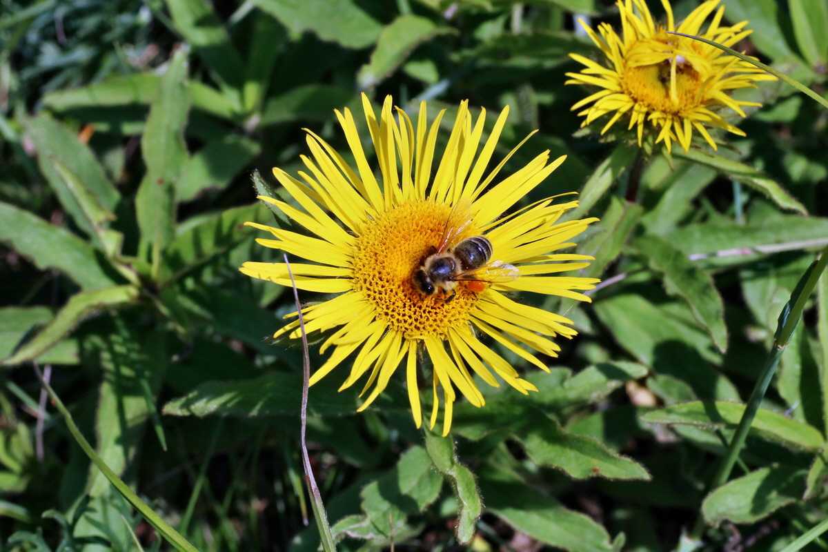 IMG-2016-06-06-00018528p_Bildgr��e �ndern