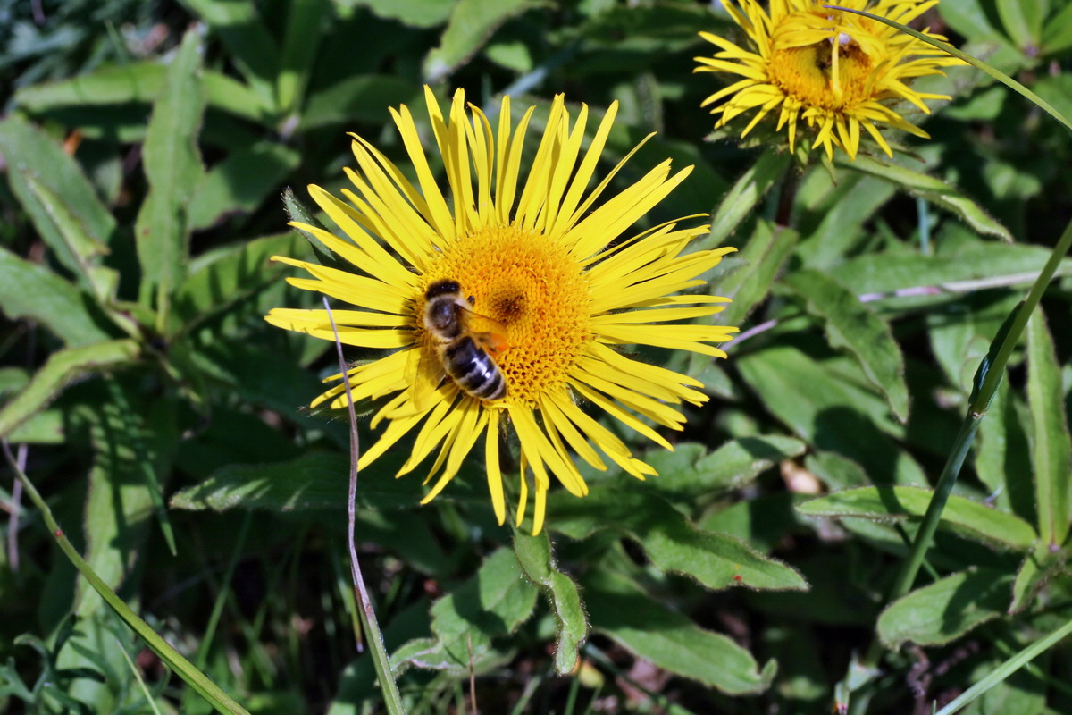 IMG-2016-06-06-00018536p_Bildgr��e �ndern