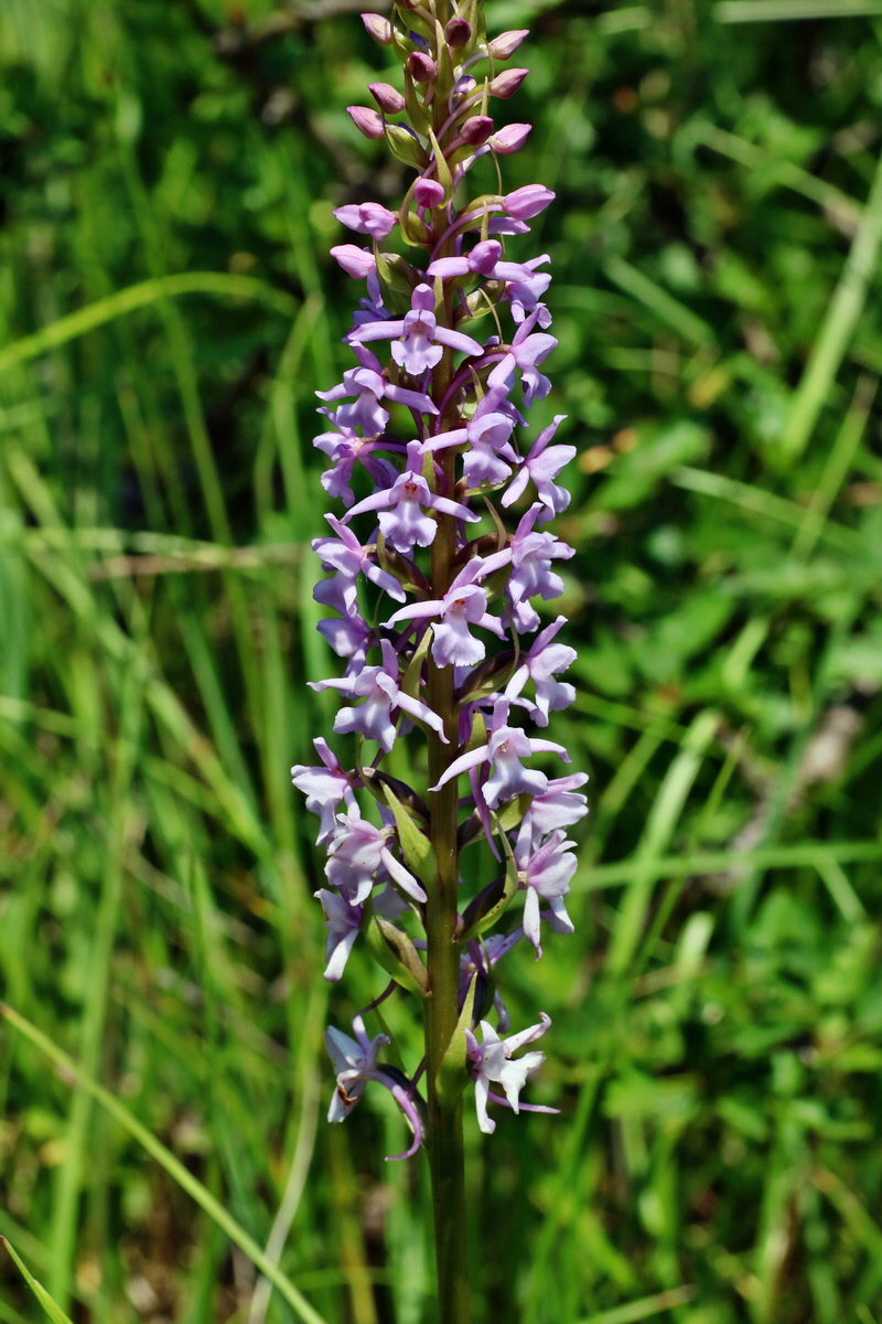 IMG-2016-06-06-00018545p_Bildgr��e �ndern