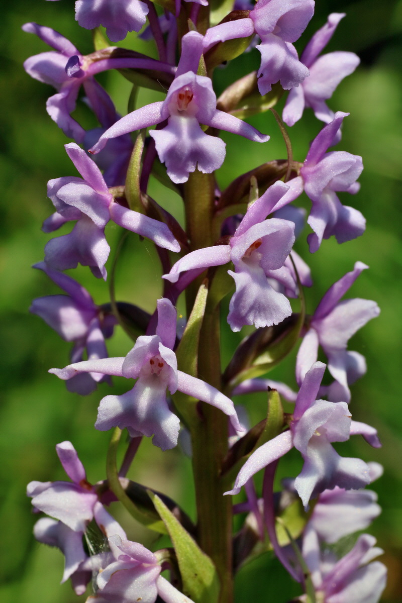 IMG-2016-06-06-00018550p_Bildgr��e �ndern