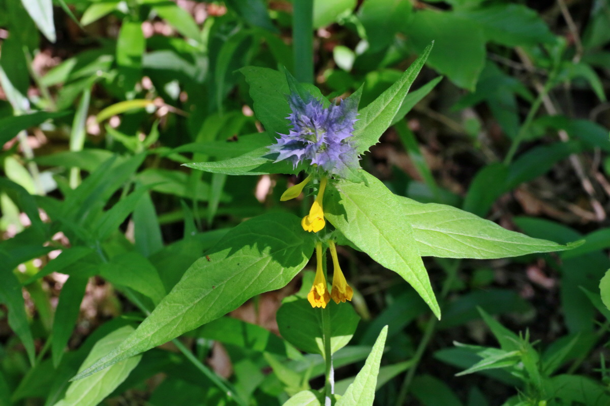 IMG-2016-06-06-00018554p_Bildgr��e �ndern