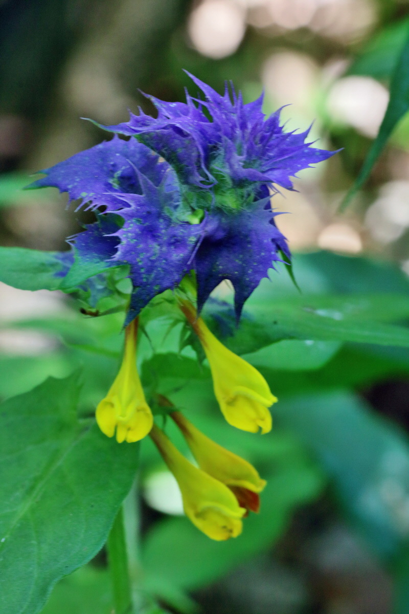 IMG-2016-06-06-00018560p_Bildgr��e �ndern