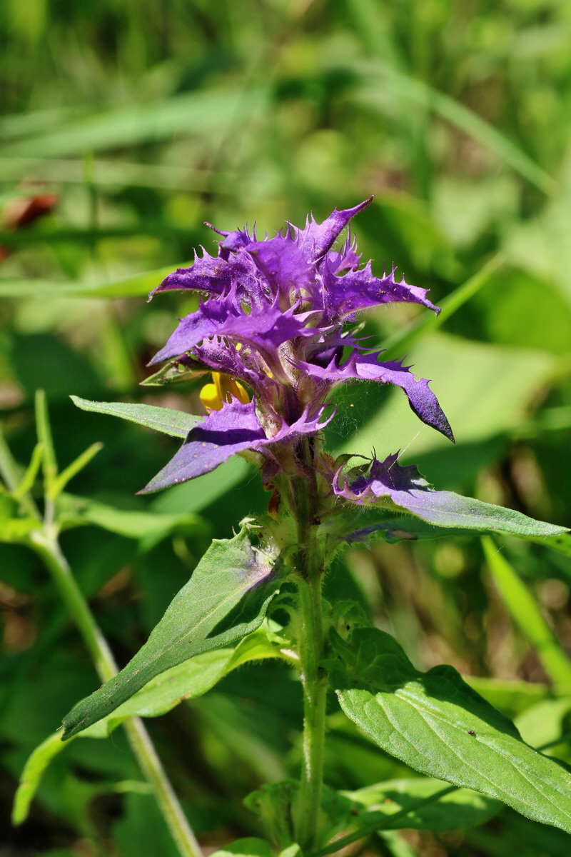 IMG-2016-06-06-00018564p_Bildgr��e �ndern