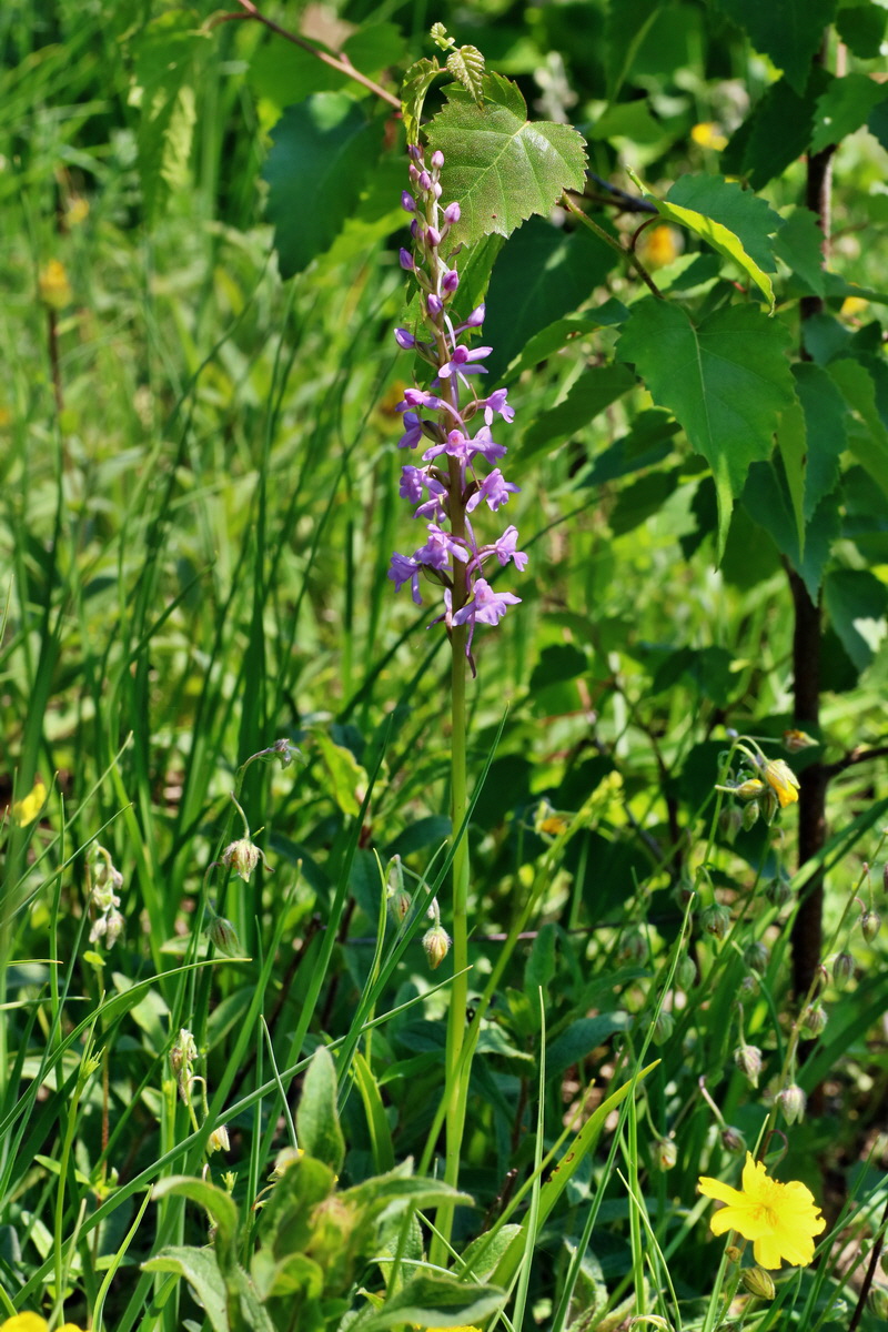 IMG-2016-06-06-00018574p_Bildgr��e �ndern