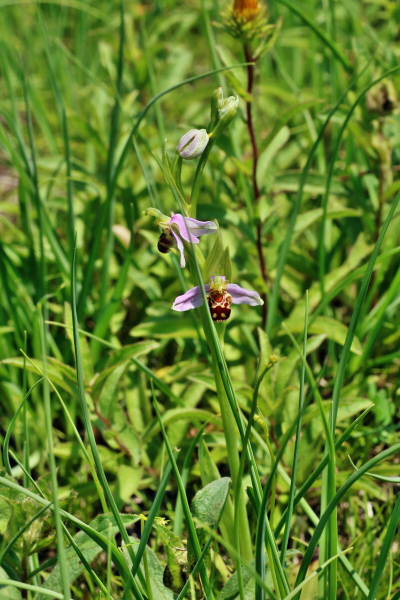 IMG-2016-06-06-00018575p_Bildgr��e �ndern