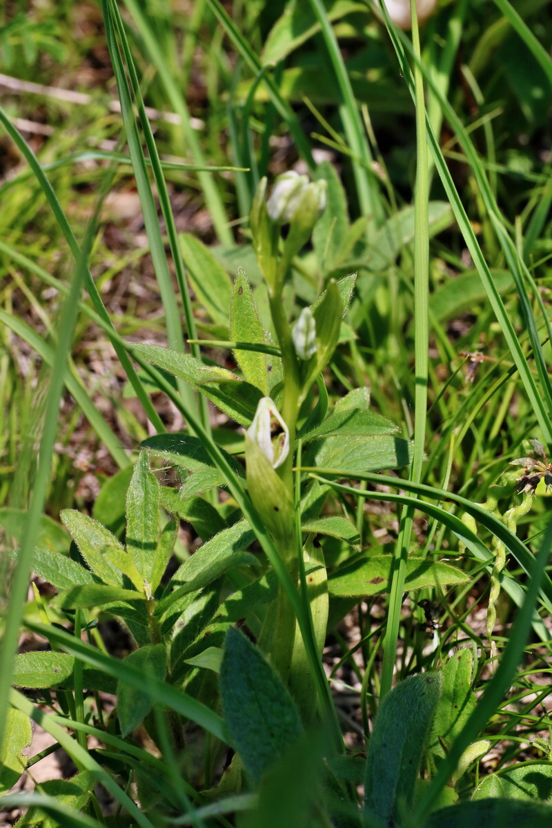 IMG-2016-06-06-00018580p_Bildgr��e �ndern