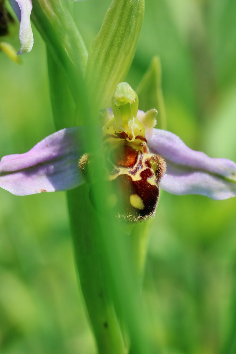 IMG-2016-06-06-00018581p_Bildgr��e �ndern