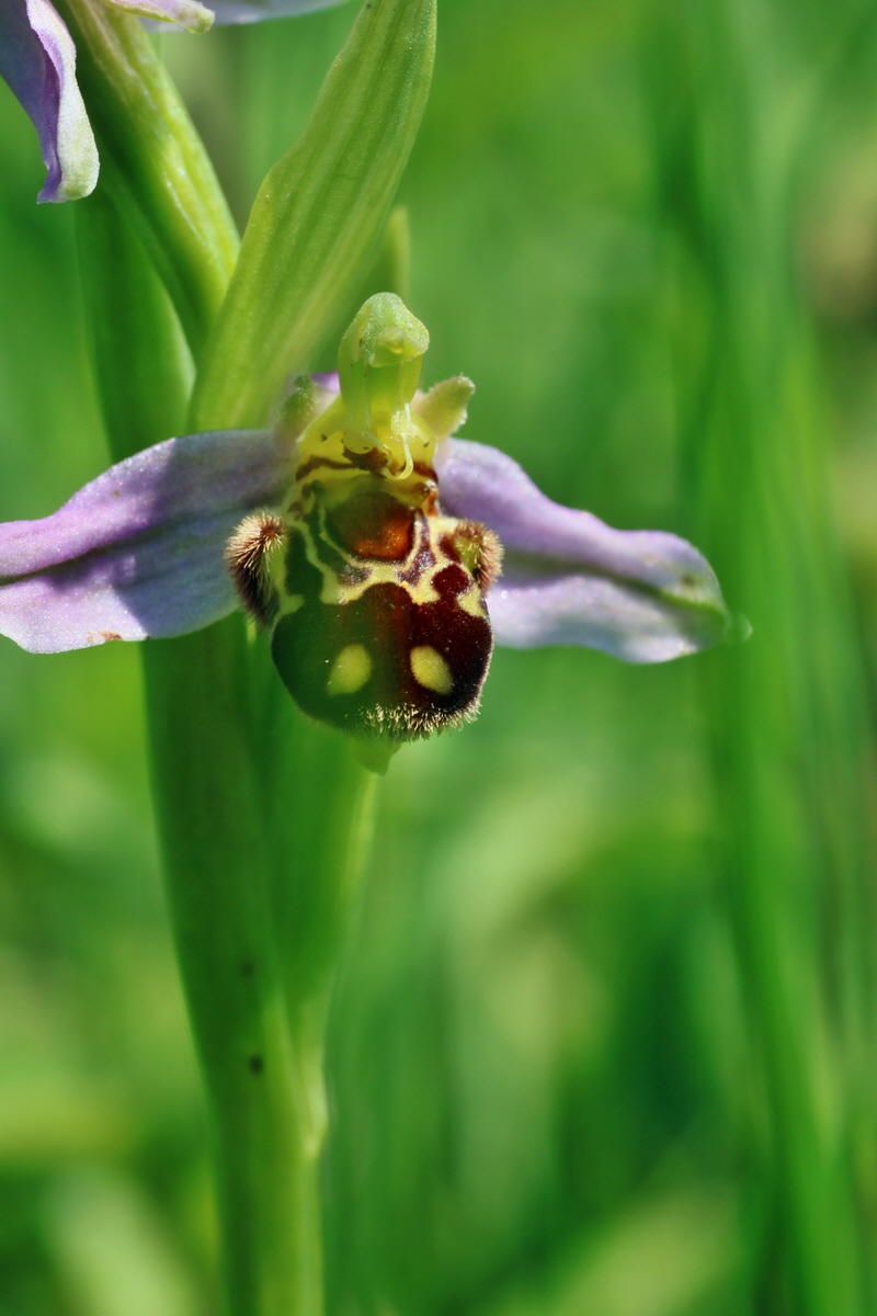 IMG-2016-06-06-00018583p_Bildgr��e �ndern