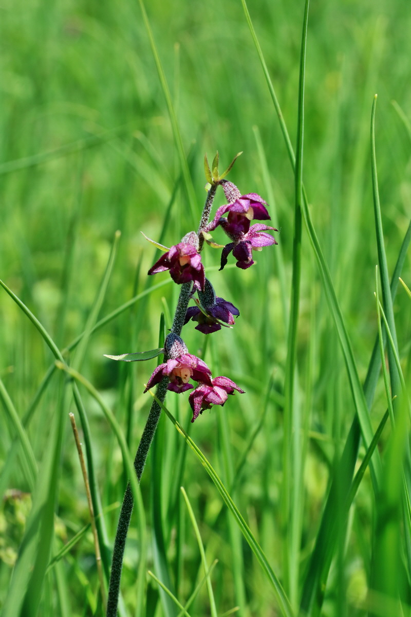 IMG-2016-06-06-00018585p_Bildgr��e �ndern