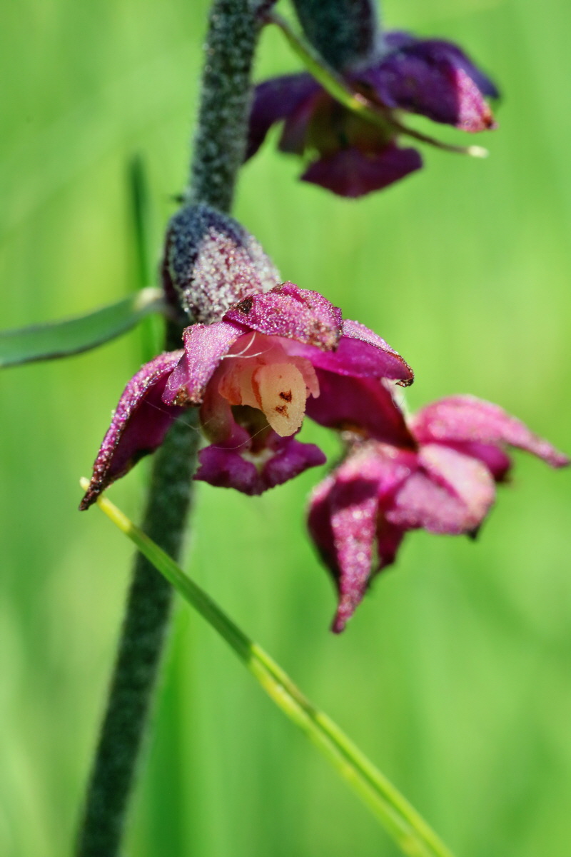 IMG-2016-06-06-00018587p_Bildgr��e �ndern