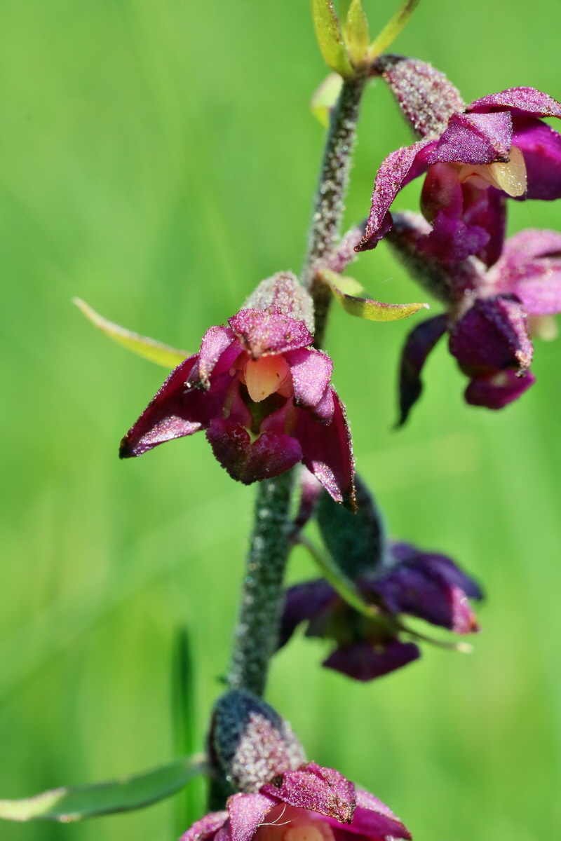 IMG-2016-06-06-00018592p_Bildgr��e �ndern