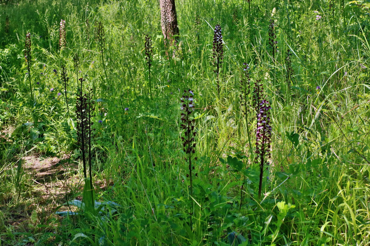 IMG-2016-06-06-00018605p_Bildgr��e �ndern