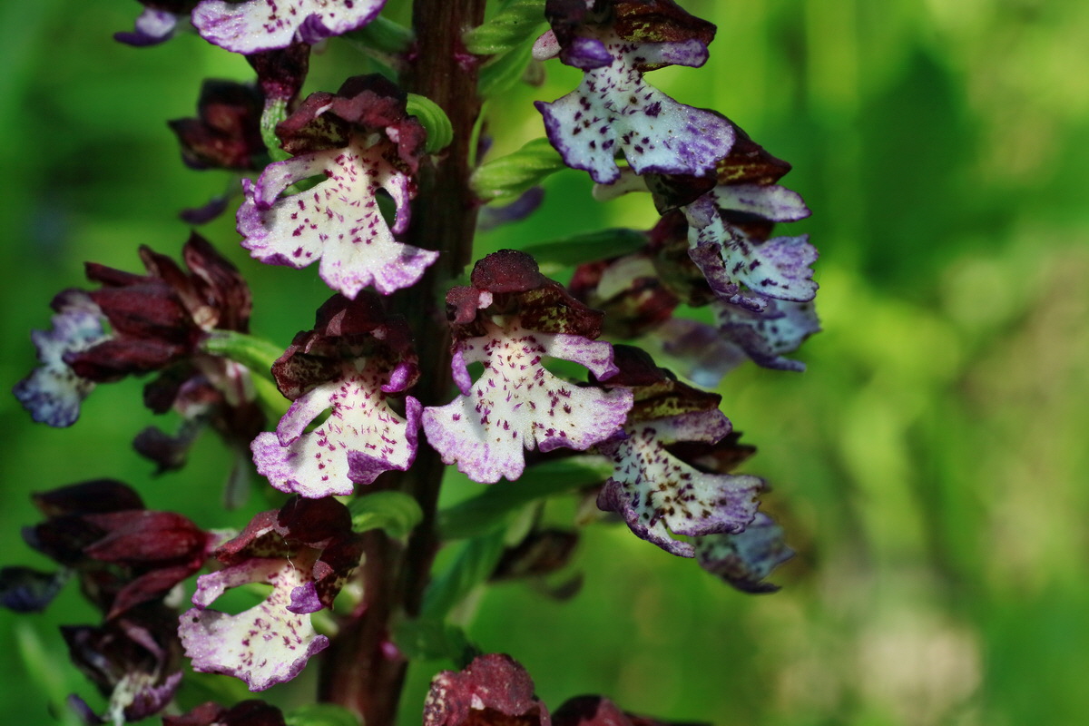 IMG-2016-06-06-00018607p_Bildgr��e �ndern