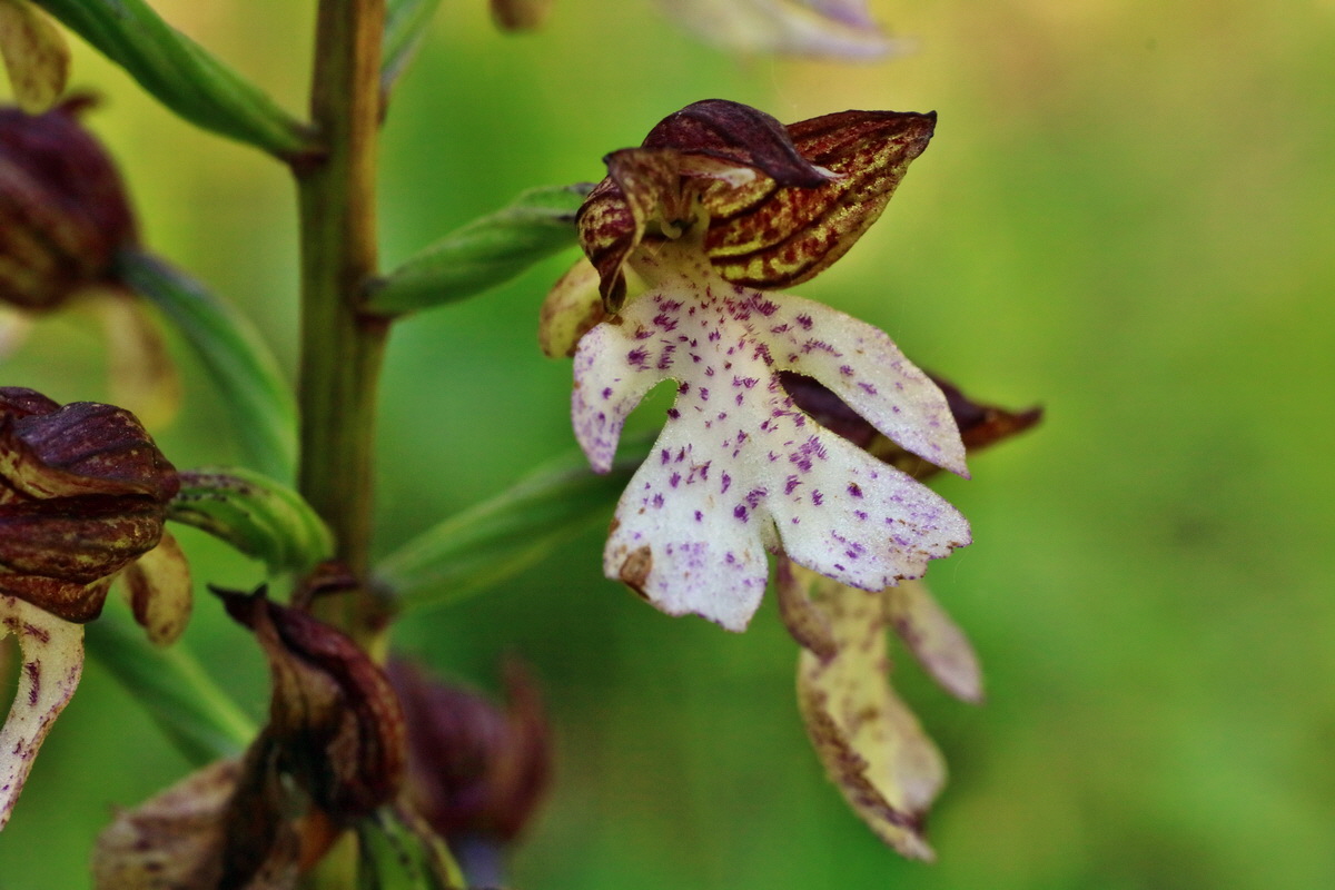 IMG-2016-06-06-00018609p_Bildgr��e �ndern