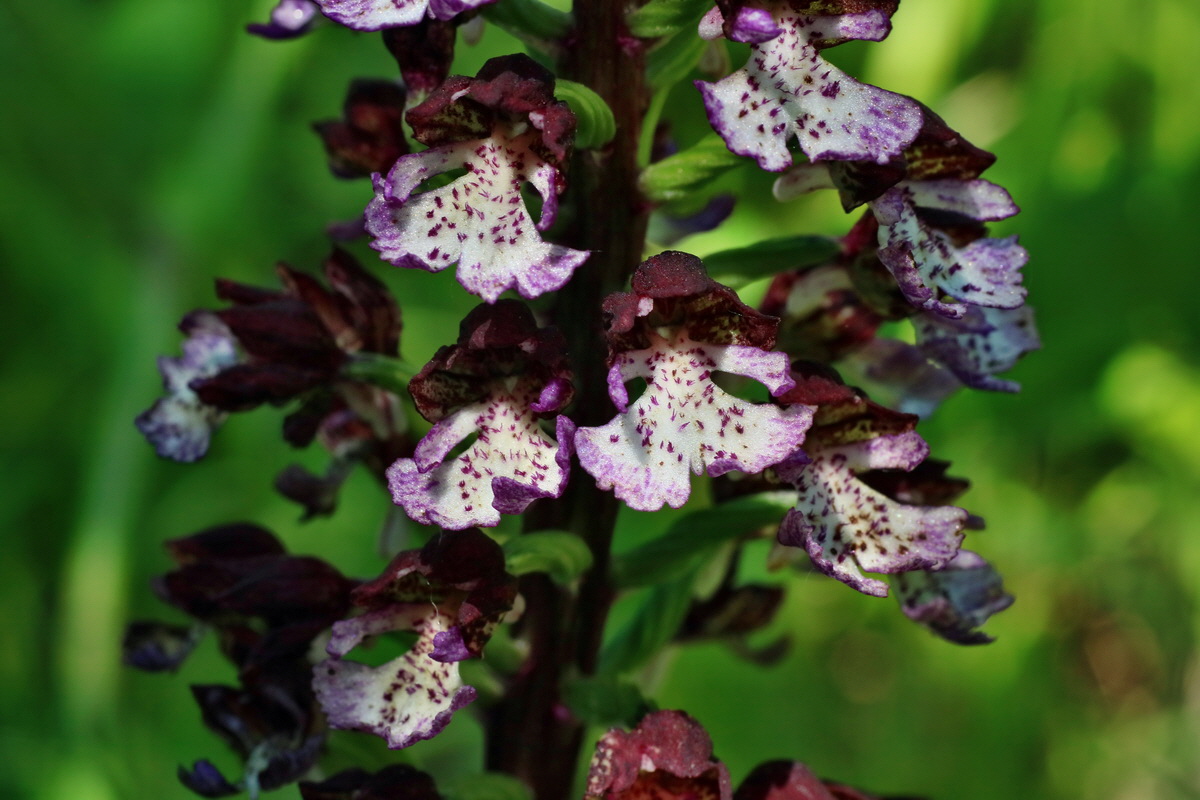 IMG-2016-06-06-00018612p_Bildgr��e �ndern