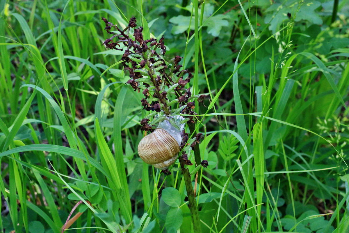 IMG-2016-06-06-00018616p_Bildgr��e �ndern