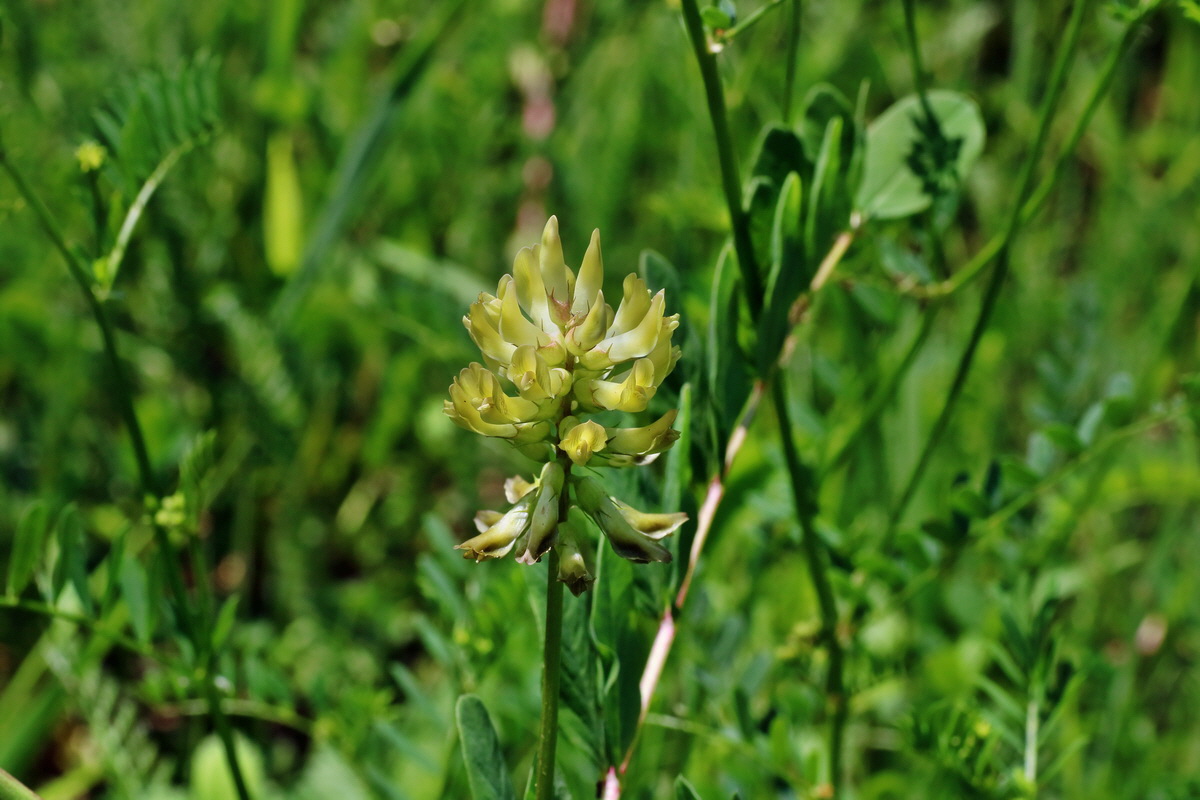 IMG-2016-06-06-00018618p_Bildgr��e �ndern