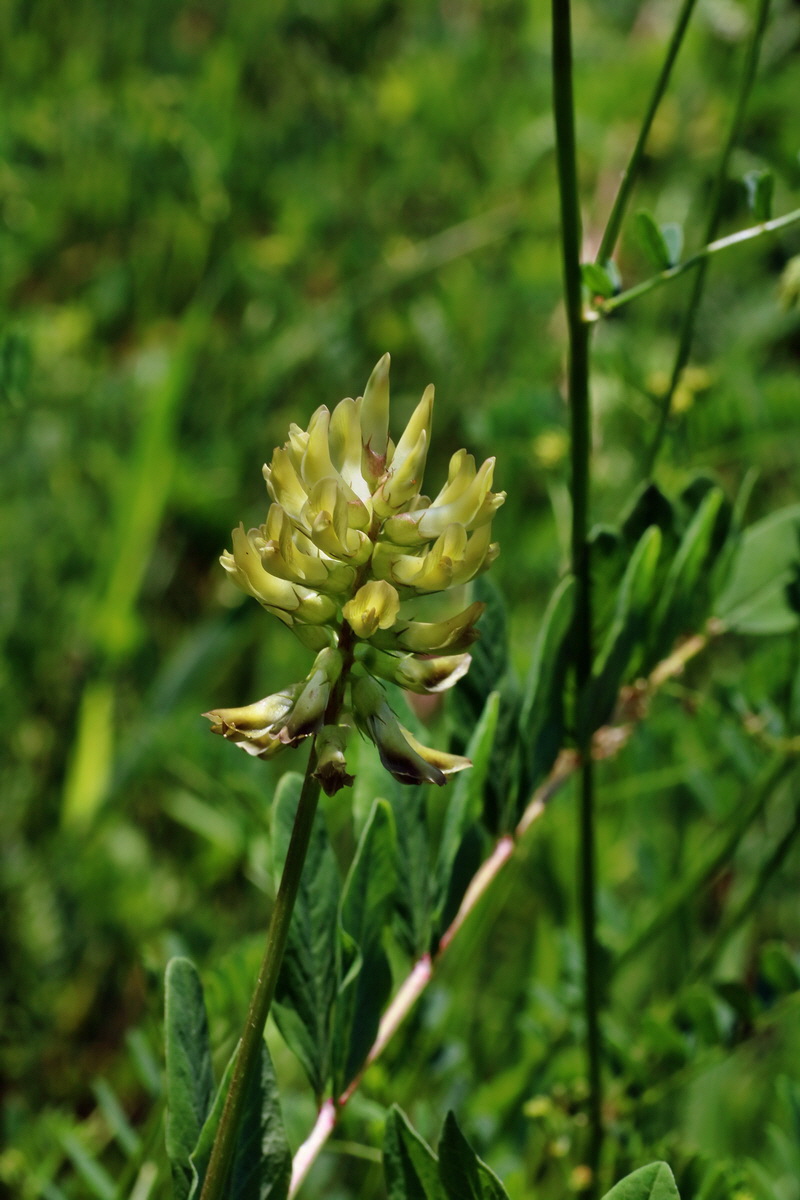 IMG-2016-06-06-00018621p_Bildgr��e �ndern