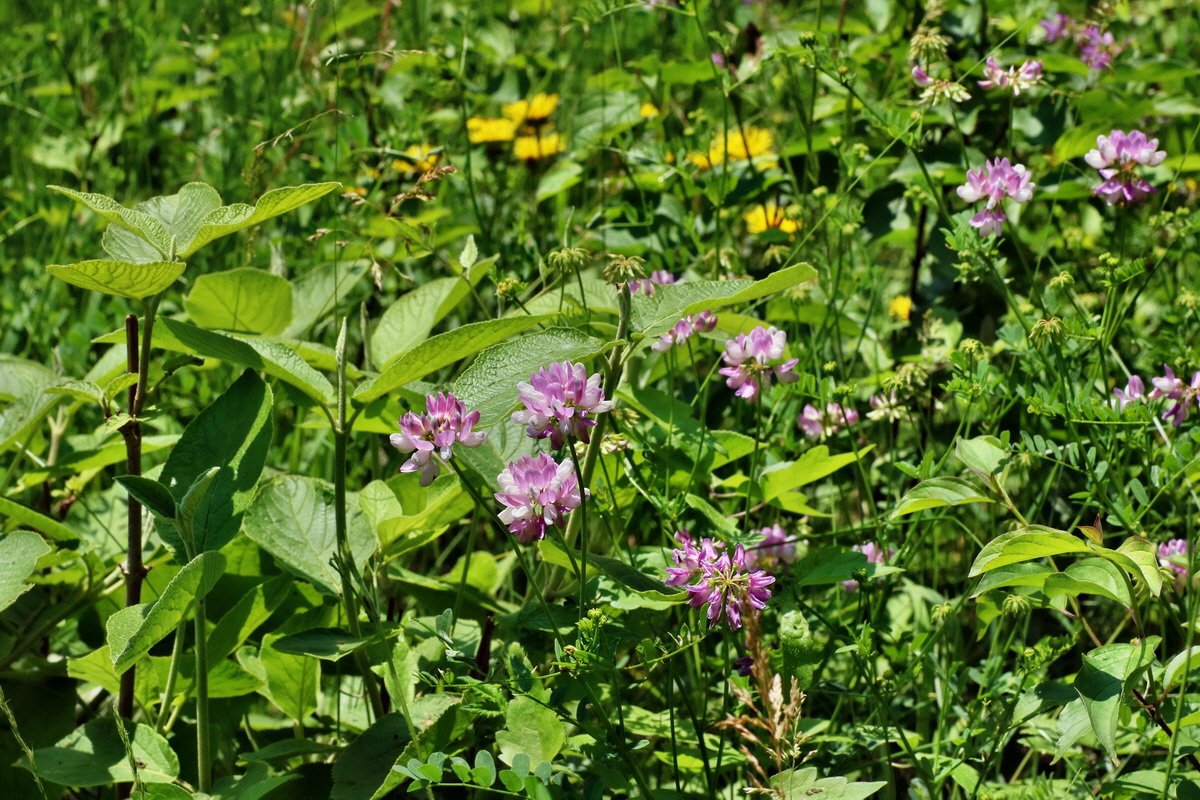 IMG-2016-06-06-00018625p_Bildgr��e �ndern