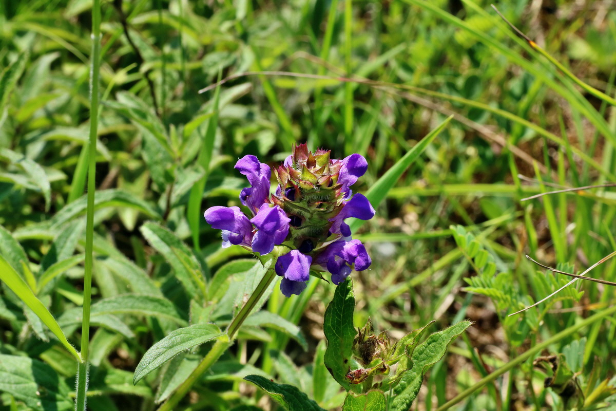 IMG-2016-06-06-00018630p_Bildgr��e �ndern