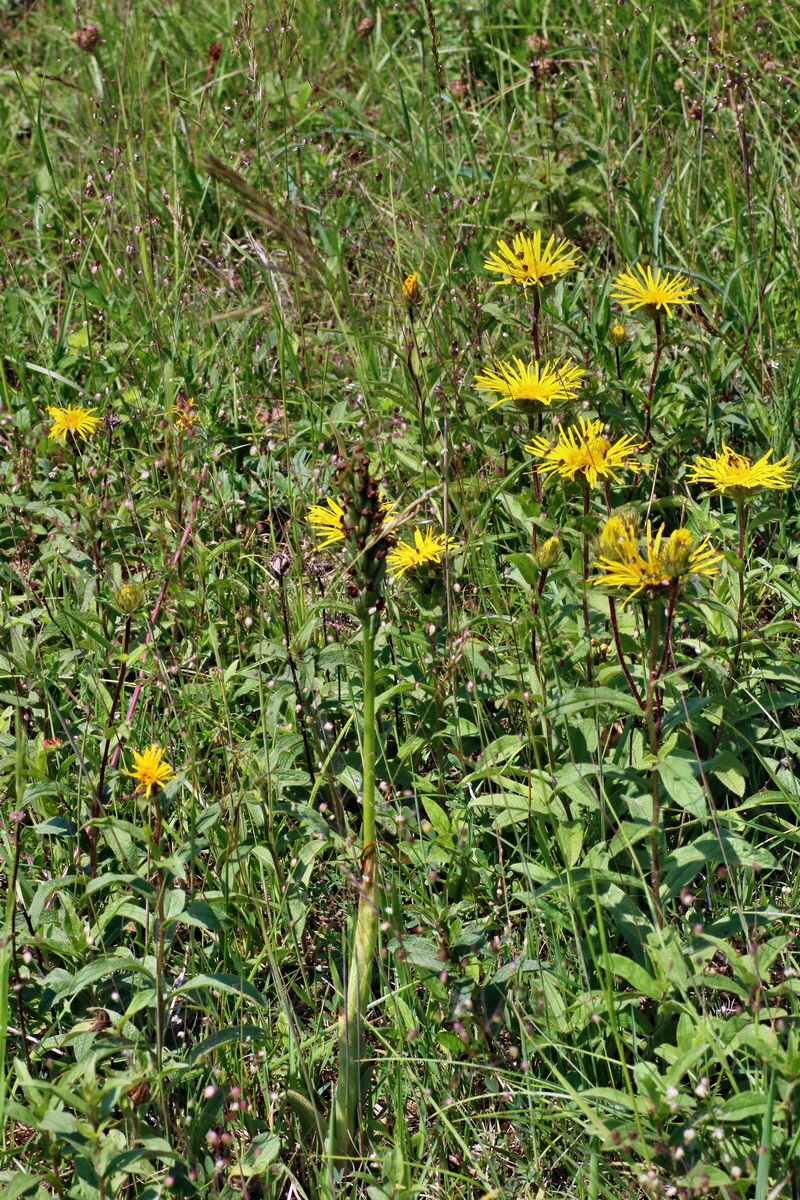 IMG-2016-06-06-00018634p_Bildgr��e �ndern