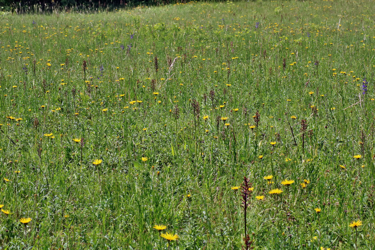 IMG-2016-06-06-00018642p_Bildgr��e �ndern