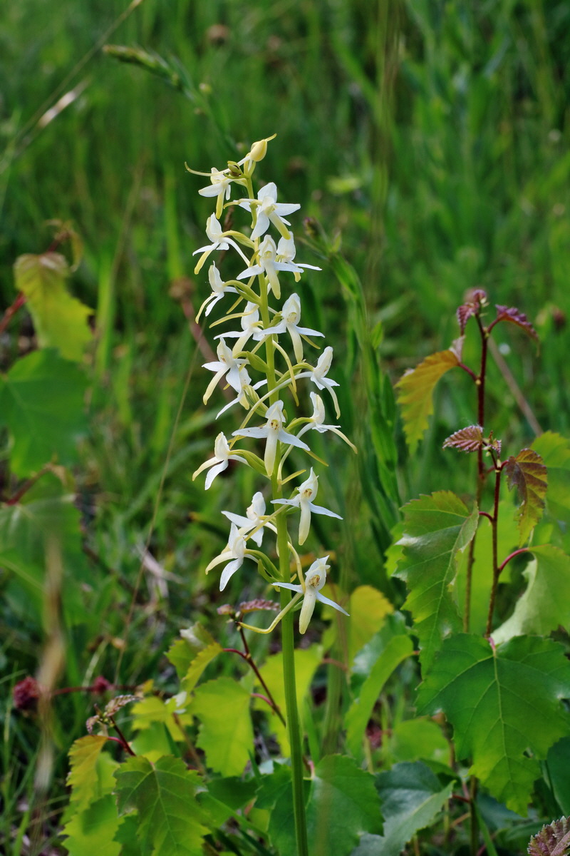 IMG-2016-06-06-00018652p_Bildgr��e �ndern